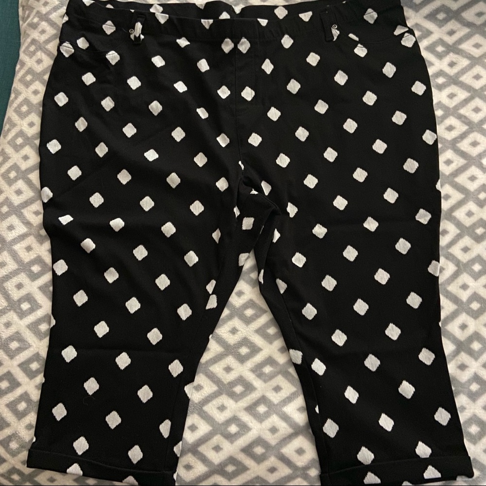 terra&sky Multicolor Pull-on Capris EUC 4x 28/30